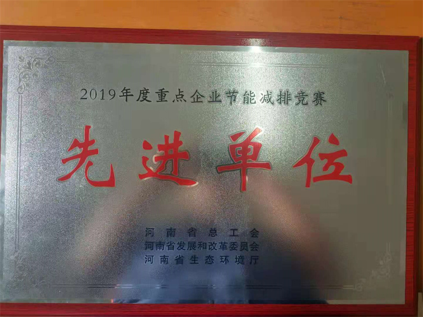 2019節(jié)能減排獎牌.jpg